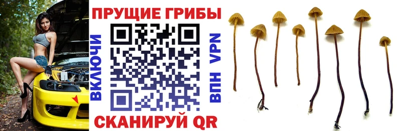 Псилоцибиновые грибы мухоморы  Березники 
