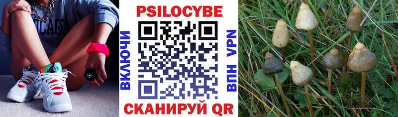 Галлюциногенные грибы мухоморы Березники